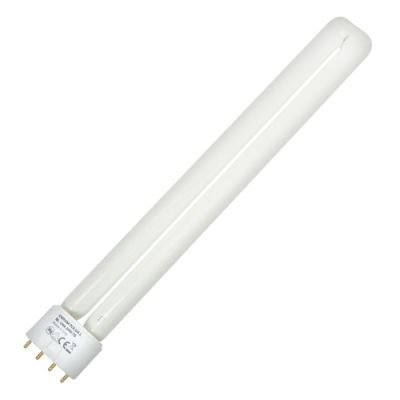 24 Watt Compact tube (shatterproof)