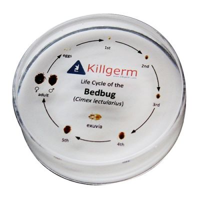 Killgerm® Bedwants Cyclus