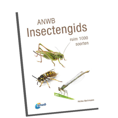 Insectengids