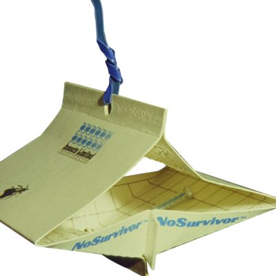No Survivor Trap