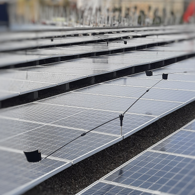 ProSolar Birds