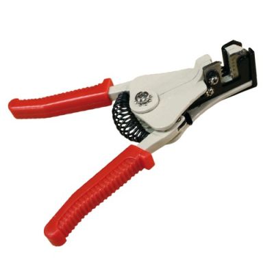 Avishock Striptang