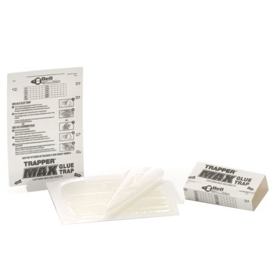 Trapper Max Pro (doos 72 stuks)